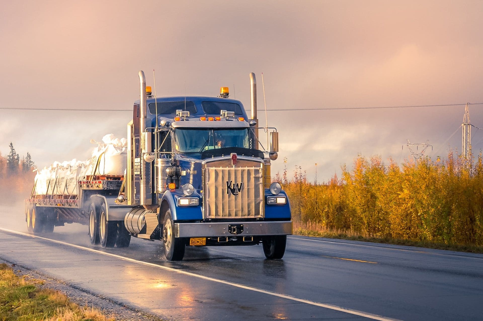 Cutting Transportation Emissions: Evaluating Zero-Emission Vehicles